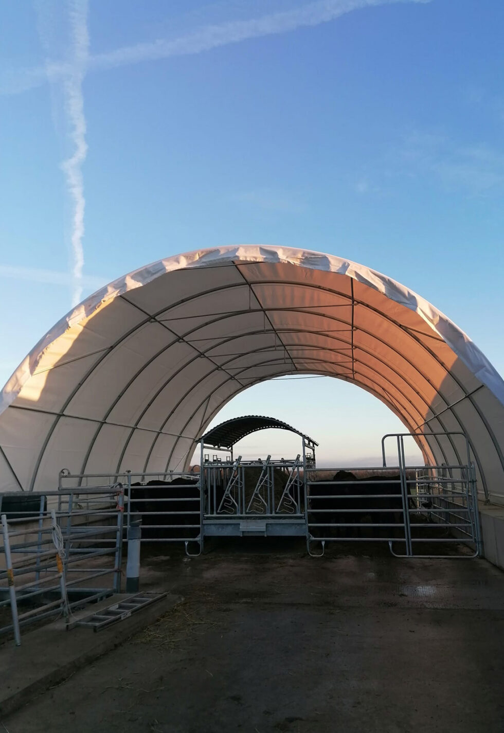 ROBUSTE RUNDBOGENHALLEN ALS HACKSCHNITZELLAGER visual data 8